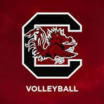 South Carolina logo