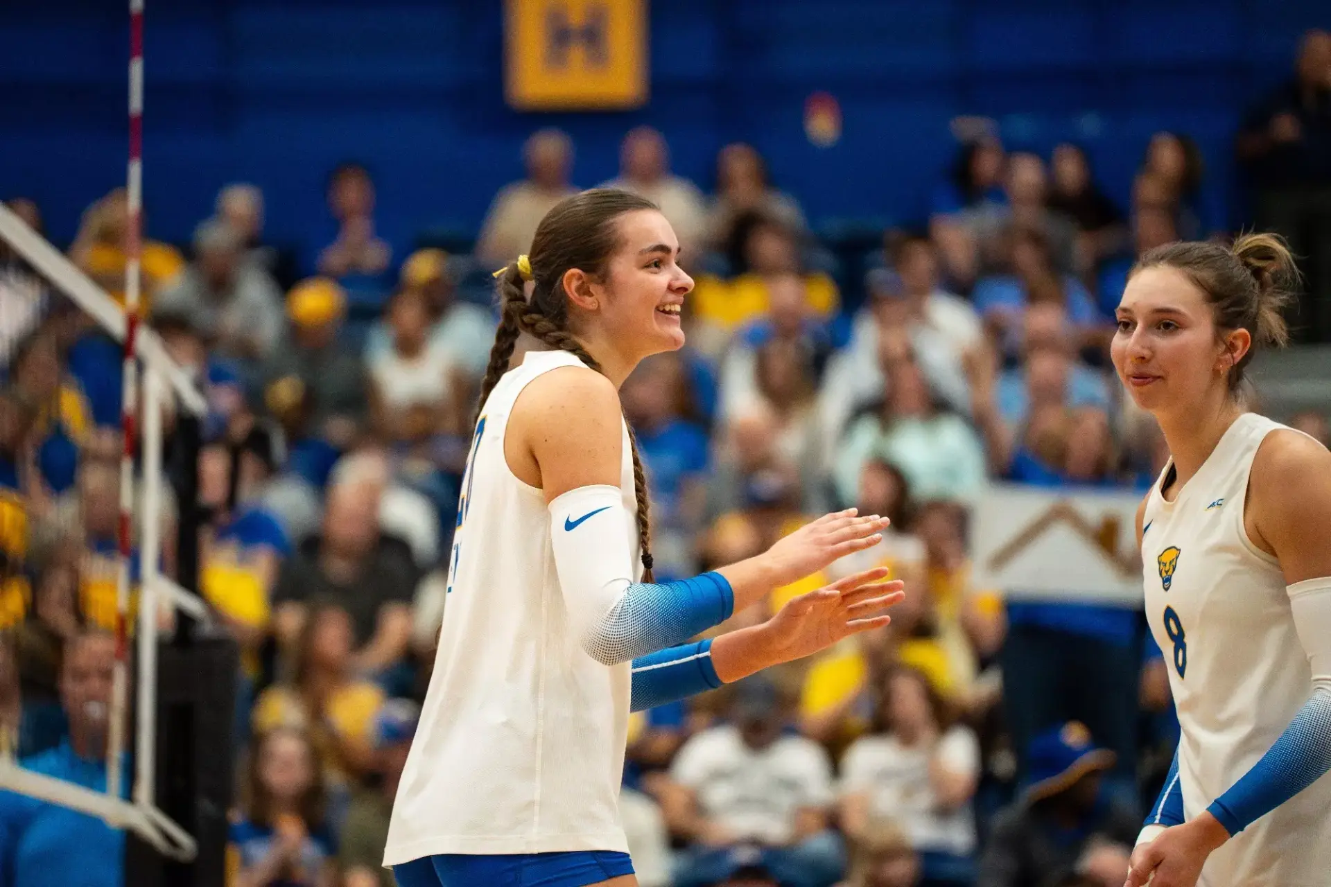 Pitt Panthers volleyball players celebrating a point during a 2026 home match at Victory Heights Arena