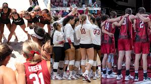 Collage of Stanford volleyball team huddles and celebrations from the 2026 season