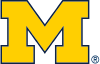 at Michigan State logo